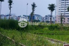 Đất mặt đường vành đai 3.5, di trạch, ngay cầu hậu ái, cuối trịnh văn bô, kinh doanh sầm uất, đa ngà