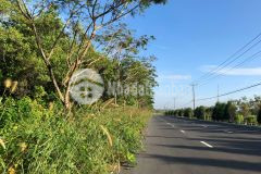 Đất mặt tiền đường tắc xuất, thị trấn cần thạnh, cần giờ, chỉ 60 trm2.