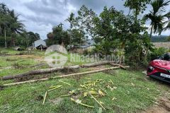 Bán 340m2 đất full thổ cư ngọc lặc thanh hoá, gần sân bay, mt 10m, chỉ 680 triệu lh 0987104878