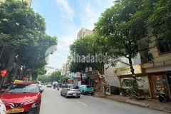 Chính chủ cần bán đất đấu giá đa sỹ đường hoàng trình thanh, hà đông 60m mt5m đường vỉ hè 20m