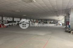 Cho thuê nhà kho 3300m² hoà châu giá chỉ 45km² sẵn pccc đường xe container