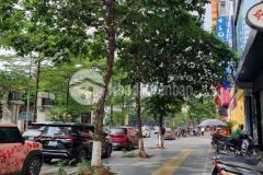Bán nhà mặt phố trần thái tông 42m2 xây 5 tầng vỉa hè 5m kinh doanh đỉnh quận cầu giấy