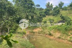 Gần 7000m2 đất nghỉ dưỡng cực đẹp, view cao, có suối, có ao sát khu cn quang tiến, giá nhỉnh 2trm2