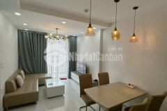 Cho thuê căn hộ 2pn q7 riverside đào trí quận 7 chỉ 11trth