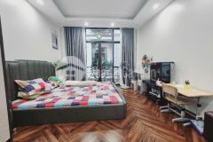 Bán nhà ngõ hồ tùng mậu, nội thất lung linh, 30m2, 7.5 tỷ