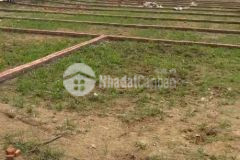 Sở hữu ngay đất nền gần kcn thanh sơn chỉ từ 3xx triệunền