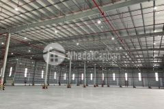 Cho thuê nhà kho, nhà xưởng 7000m2 sẵn pccc trong kcn hoà câm giá 50k