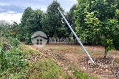 Bán lô đất nông trường cực đẹp phù hợp cho làm nhà vườn nghỉ dưỡng tại ba vì, giá hơn 3 tỷ lh0866990