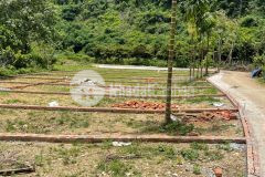 Đâu tư đât nên thanh sơn lương sơn giá f0 chỉ 300triệulô