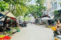 Bán đất tặng nhà cấp 4 mặt phố trần cảnh, ph thành đông mới, tp hp mới, 65.7m2, mt 4.37m
