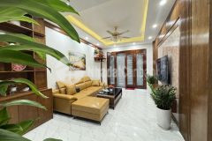 Phân lô 7 tầng thang máy 10.8 tỷ mặt ngõ gần phố gần hoàng quốc việt