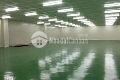 Cho thuê nhà xưởng khu công nghiệp đại đồng bắc ninh 3.000m2, pccc tự động có hút khói