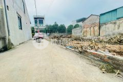 Chính chủ 56m đường thông, ô tô đỗ cửa, ven kcn phố nối a, văn lâm 0828218468