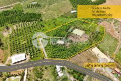 Bán đất vườn diên thọ đã lên mô hình farm sinh thái đang khai thác gần quốc lộ 27c