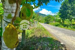 Bán đất giang ly đối diện khu nghỉ mát suối lách mặt tiền đường nhựa gần quốc lộ 27c