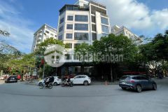 Bán tòa nhà văn phòng 9 tầng mặt phố dịch vọng hậu dt 157m2 lô góc. giá 130 tỷ