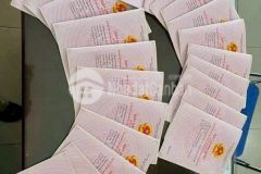 Chính chủ bán gấp nền đất 250m2 có thổ cư gần kcn becamex chơn thành giá 490triệu