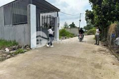 Ngộp ngân hàng cần bán gấp căn nhà cấp 4 ở trảng bàng, tây ninh, gái 620 triệu, 100m2.