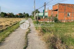 Bán lô thổ lúa 20x50 15x30 thổ 550m2 lúa mt nhựa 4m gần chợ bình lãng xã tân trụ tỉnh long an