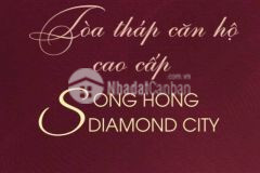 Nhận bookinh sớm giữ căn đẹp tại dự án sông hồng diamond city để nhận nhiều ưu đãi