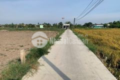 Bán nền thổ 5x25 cách nguyễn văn dư 50m gần chợ trường học tại xã tân trụ tỉnh tây ninh