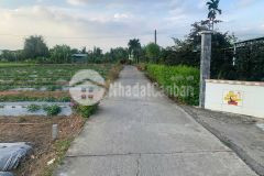 Bán nền thổ 5x28 mt bùi văn gà 4m gần kcn an nhựt tân và kcn hòa bình tại xã nhựt tảo tỉnh long an