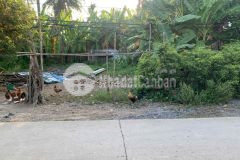 Bán nền thổ và vườn 12,9x24 ngay tam giác tập trung dân cư,mọi tiện ích tại xã tân trụ tỉnh tây ninh