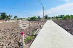 Bán nền thổ 5x26 cách tl833 50m ngay nhà máy bảo đài tại xã tân trụ tỉnh tây ninh