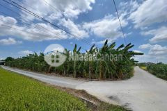 Bán nền thổ 5x26,5 mt nguyễn thị tầm 4m cách chợ bình lãng 1km tại xã tân trụ tỉnh tây ninh