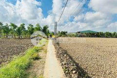 Bán nền thổ lúa 1173m2 có 10x30 thổ cách nhựa nguyễn thị lầu 400m tại xã nhựt tảo tỉnh tây ninh