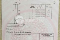 2 nền thổ cư mặt tiền lương văn tiên, xã mỹ lộc, cần giuộc dt 127m2 giá 1,35 tỷ nền