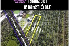 Bá.n 1.208,7m² đất lúa có 160m² thổ cư mặt tiền lộ cái chanh, đông phú, tp. cần thơ