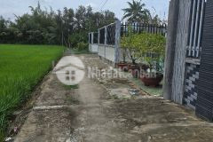 Nhà vườn xã tân trạch, cần đước tổng dt 330m2 1 lầu 3pn 3wc, sân thượng giá 3,9 tỷ