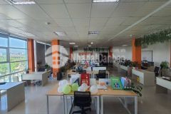 Cho thuê sàn văn phòng mt phan đăng lưu