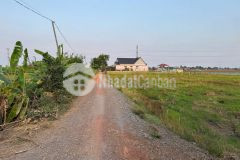 Bán nền thổ lúa 1148m2 có 5x30 thổ mt võ văn lương cách chợ bình lãng 500m tại xã tân trụ tỉnh tây n