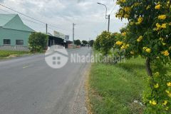 Bán nền thổ 5x50 mt nhựa cao thị mai phù hợp kinh doanh mua bán tại xã tân trụ tỉnh tây ninh