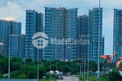 Lô đất mặt tiền đường 8 long phước dt 150m khu tiềm năng