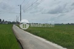 Bán lô thổ 5x25 mt đan oto ngay đường nguyễn văn thọ cách nhà máy bảo đài 800m x.nhựt tảo t.tây ninh