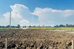 Bán nền thổ lúa 1486m2 có 235,4m2 thổ mt nguyễn văn tiết từ tl833 vô 1km xã nhựt tảo tỉnh tây ninh