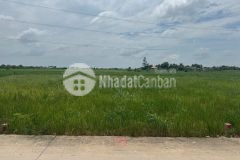 Bán nền thổ 5x30 mt đan 4m từ tl833 vào 300m ngay nhà máy bảo đài tại xã nhựt tảo tỉnh tây ninh