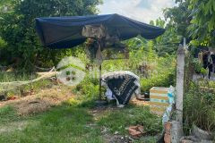 Bán đất nhánh đường lê chí dân, phường hiệp an, thủ dầu một, bình dương