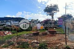 Bán 2 lô biệt lập khe sanh view rừng thông