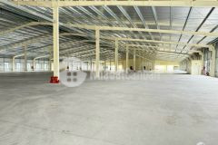 Cho thuê nhà xưởng 4800m2 tại thọ quang, sẵn pccc, giá tốt chỉ 60k