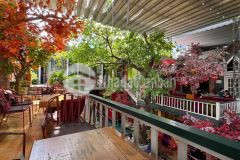 Bán quán cafe phố xưa ngang 24m 3 lầu sân vườn 624m2 mtkd nguyễn ảnh thủ chỉ 49 tỷ