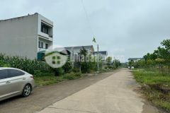 Bán đất khu đấu giá mầm non kim long b, kim long, tam dương, vĩnh phúc