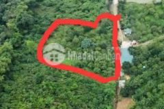 Bán 1800m2 đất nghỉ dưỡng, view đồi núi, trên đất được trồng nhiều loại cây ăn quả tại tiến xuân