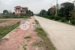 Chính chủ gửi bán đáu giá, trục chính tại lương tài, kinh doanh đẹp. lh 0835459289