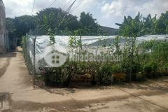 Quá rẻ lô đất 313m, ngang 16m, lô góc, ra mặt tiền đường, trường thạnh, thủ đức, chỉ 7,59 tỷ.