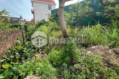 Bán đất thổ cư 63m2 sổ đỏ riêng tại đắc sở, hoài đức tp hà nội