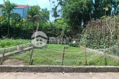 Bán đất kim thư, thanh oai 45m2, đường ô tô 7 chỗ, tiện ích đầy đủ, giá chỉ 2,4 tỷ